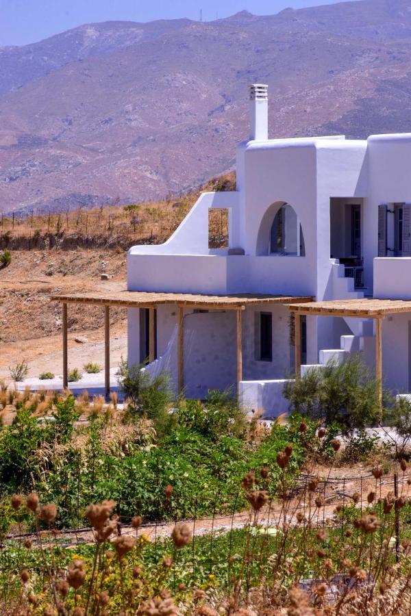 Relaxia Estate Naxos Apartment Galini  Exterior photo